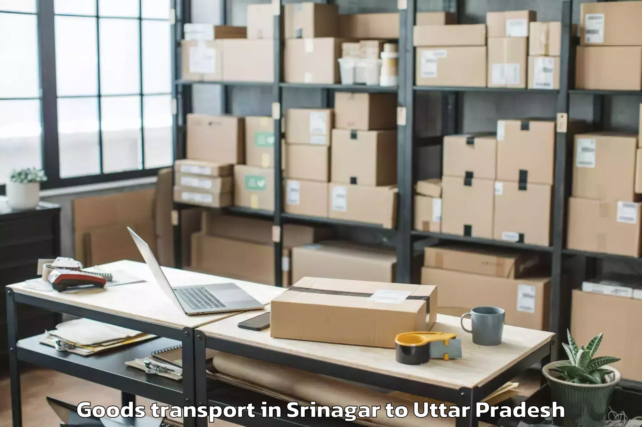 Book Srinagar to Hamirpur Uttar Pradesh Goods Transport